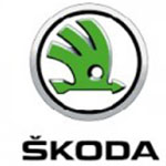 Custom Skoda Diamond Car Mats Canada